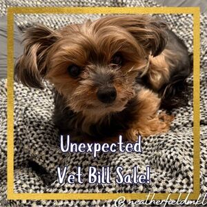 Unexpected Vet Bill Sale!
